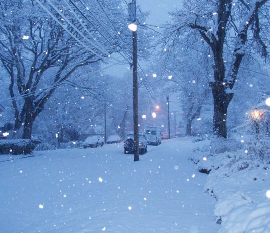 Solana Snowfall? Worth Plunges Amidst Market Correction – Will It Get Worse?