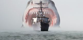 Did A Dogecoin Whale Simply Sink The DOGE Ship? The $30-Million Switch Thriller Did A Dogecoin Whale Simply Sink The DOGE Ship? The $30-Million Switch Thriller