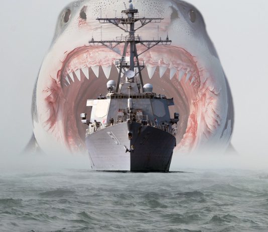 Did A Dogecoin Whale Simply Sink The DOGE Ship? The $30-Million Switch Thriller