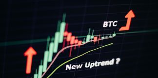 Crypto Professional Willy Woo Predicts Bitcoin Has Room To Run – Right here Are The Drivers