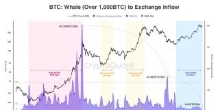 Bitcoin Whales Are Not Promoting, BTC Has Sturdy Help Above $60,000