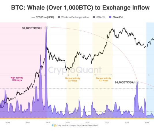 Bitcoin Whales Are Not Promoting, BTC Has Sturdy Help Above $60,000