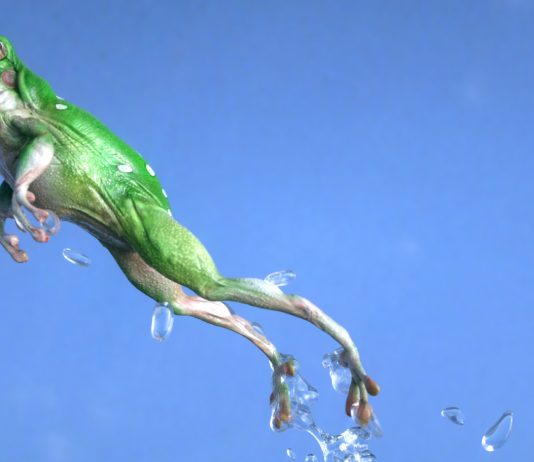 Tiny Pepe, Massive Goals: Memecoin Explodes, Eyes Dominance In The Canine Home