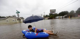 Why Did CORE Value Surge 20% Whereas The Crypto Market Dumped?