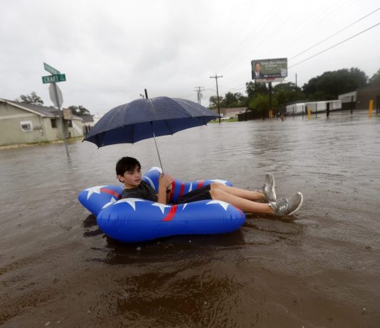 Why Did CORE Value Surge 20% Whereas The Crypto Market Dumped?