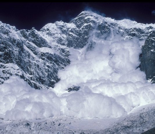 Avalanche Weathers The Storm – Can AVAX Hit $40 Once more?