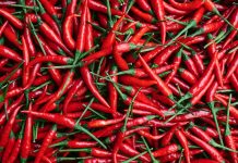 Crimson Sizzling Chiliz: Analyst Predicts 4x Your Cash With Upcoming Breakout