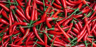 Crimson Sizzling Chiliz: Analyst Predicts 4x Your Cash With Upcoming Breakout