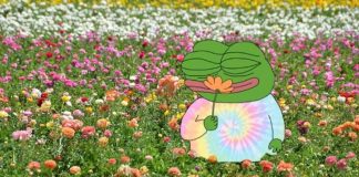 Apu Memecoin Soars, Reaching 11,600 Token Holders with Sturdy Group Assist Apu Memecoin Soars, Reaching 11,600 Token Holders with Sturdy Group Assist