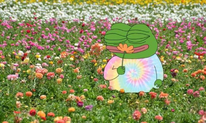 Apu Memecoin Soars, Reaching 11,600 Token Holders with Sturdy Group Assist