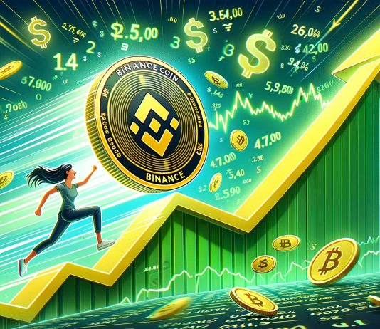 BNB Value Launches Restoration Bid: Will the Bounce Maintain?