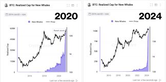 Bitcoin Whale Indicator Flashes Sign Final Seen Earlier than 480% Surge In Mid-2020