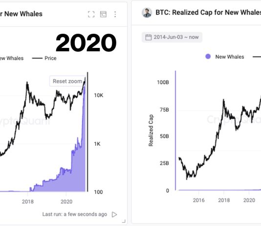 Bitcoin Whale Indicator Flashes Sign Final Seen Earlier than 480% Surge In Mid-2020