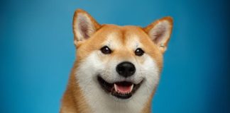 Dogecoin Whales Purchase $112 Million Price Of DOGE As Crypto Buyers Flip Their Consideration To Meme Cash Dogecoin Whales Purchase $112 Million Price Of DOGE As Crypto Buyers Flip Their Consideration To Meme Cash