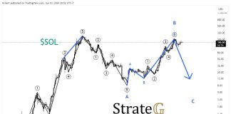 Crypto Analyst Predicts Large Solana Worth Crash Utilizing Elliott Waves