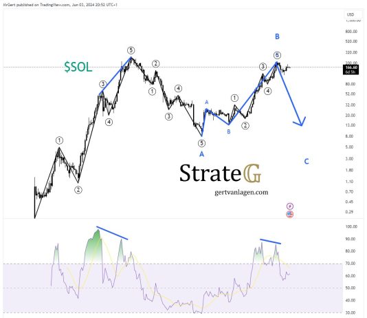 Crypto Analyst Predicts Large Solana Worth Crash Utilizing Elliott Waves