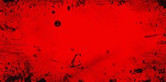 Cardano Massacre? Promote-Off Raises Fears Of Imminent ADA Worth Drop