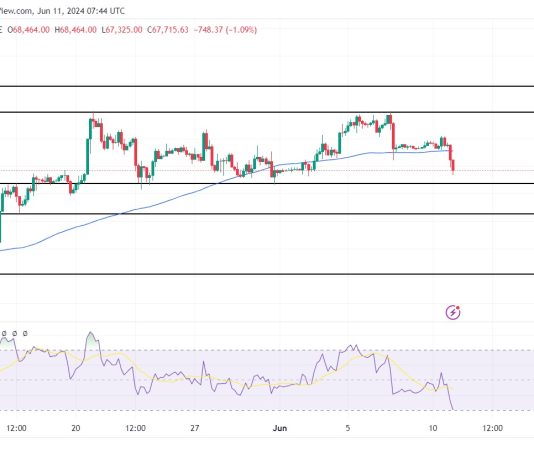 Bitcoin Set for Additional Decline As Bearish Sentiment Intensifies