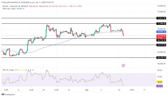 Bitcoin Set for Additional Decline As Bearish Sentiment Intensifies