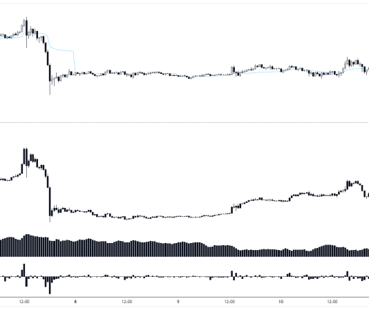 Bitcoin Worth Crashes Under $67,000: Key Causes