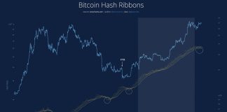 Is Bitcoin Crashing As a result of Of Miner Capitulation And Speculative BTC Bets?