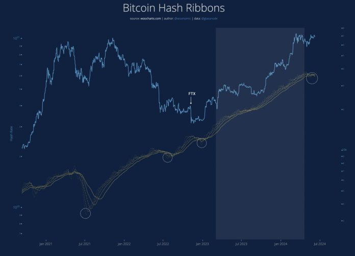 Is Bitcoin Crashing As a result of Of Miner Capitulation And Speculative BTC Bets?