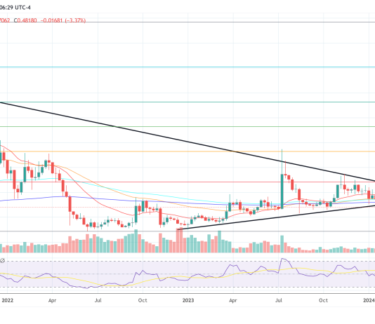 Ex-Ripple Director Explains XRP Value Slide Amid Good Information