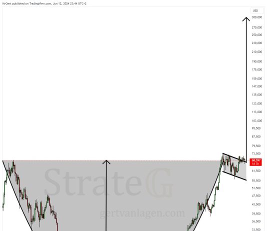 Bitcoin Value’s Path To $300,000 Cleared By Large Bullish Sample, Says Analyst