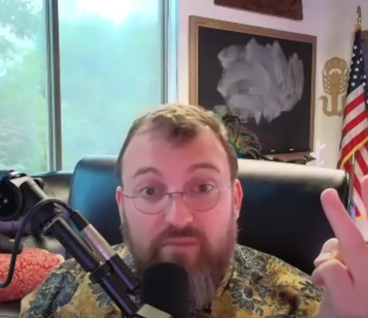 Cardano Value Drops As Hoskinson Clarifies Relationship To Elon Musk