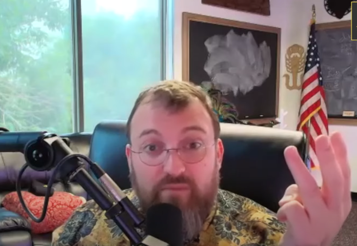 Cardano Value Drops As Hoskinson Clarifies Relationship To Elon Musk