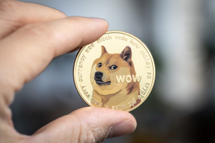 Dogecoin Plunges 11%, However This On-Chain Cushion Might Finish Decline