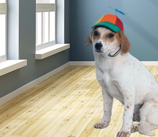 WIF Value Crashes 15% – Will The Freefall Proceed?