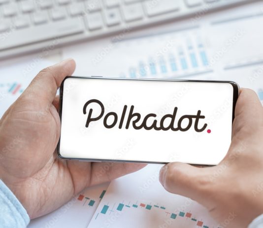 Polkadot (DOT) In Freefall: Will It Recuperate Or Hit Rock Backside?