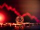 Cryptocurrencies with Robust Fundamentals and Use Circumstances: Prime Picks for 2024