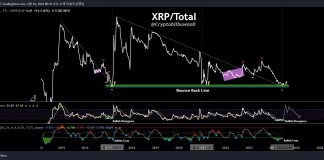 XRP Set For Monumental Rally: Analyst Factors To Extraordinarily Uncommon Sign