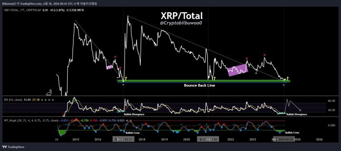 XRP Set For Monumental Rally: Analyst Factors To Extraordinarily Uncommon Sign