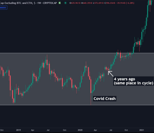 Altcoin Bloodbath? Costs Plummet 40-90%, Restoration Stalled — Analyst