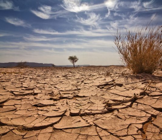 Double-Whammy For Ethereum: Value Collapses, Change Provide Dries Up