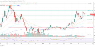 Three Causes To Make investments In Ethereum, 1 To Keep Bitcoin-Solely: Bitwise CIO