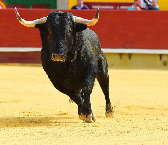 XRP 6-12 months Trendline Attracts To A Shut, Analyst Predicts 1,400% Rally To $7.5