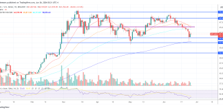 Right here’s Why The Bitcoin Backside Is In, New Highs Imminent: Crypto Knowledgeable Right here’s Why The Bitcoin Backside Is In, New Highs Imminent: Crypto Knowledgeable