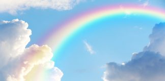 Truth Or Fantasy? Decoding The Bitcoin Rainbow Chart’s $250,000 Prediction