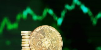 Cardano (ADA) Faces Additional Decline, $0.3389 Assist Below Risk