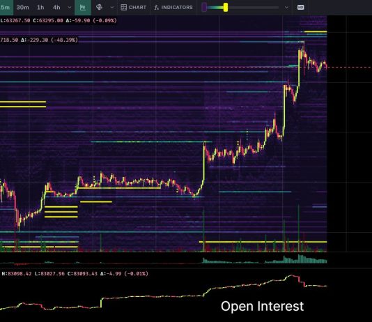 Bitcoin Worth Blasts Previous $63,000: High three Causes