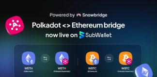 Increasing Use Circumstances: SubWallet Integrates Polkadot Bridges and Swaps with Straightforward UX Increasing Use Circumstances: SubWallet Integrates Polkadot Bridges and Swaps with Straightforward UX