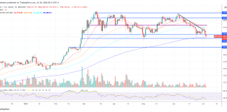 Bitcoin Value May Massively Crash Like In Could 2021, Warns Fund Supervisor