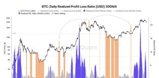 Bitcoin Crashed Beneath $55,000 However Merchants Are Not Fearful, Why?