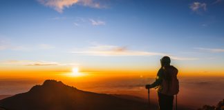 Market Professional Predicts When Bitcoin Value Will Attain Its Cycle Highs