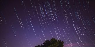 Filecoin Increase Incoming? Market Optimism Fuels Crypto’s Subsequent Breakout Star