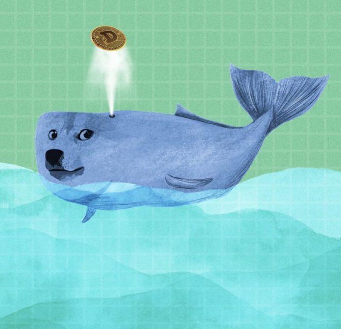 Dogecoin Sees 868% Spike In Whale Buys, Bulls Prepared For Breakout Rally Dogecoin Sees 868% Spike In Whale Buys, Bulls Prepared For Breakout Rally
